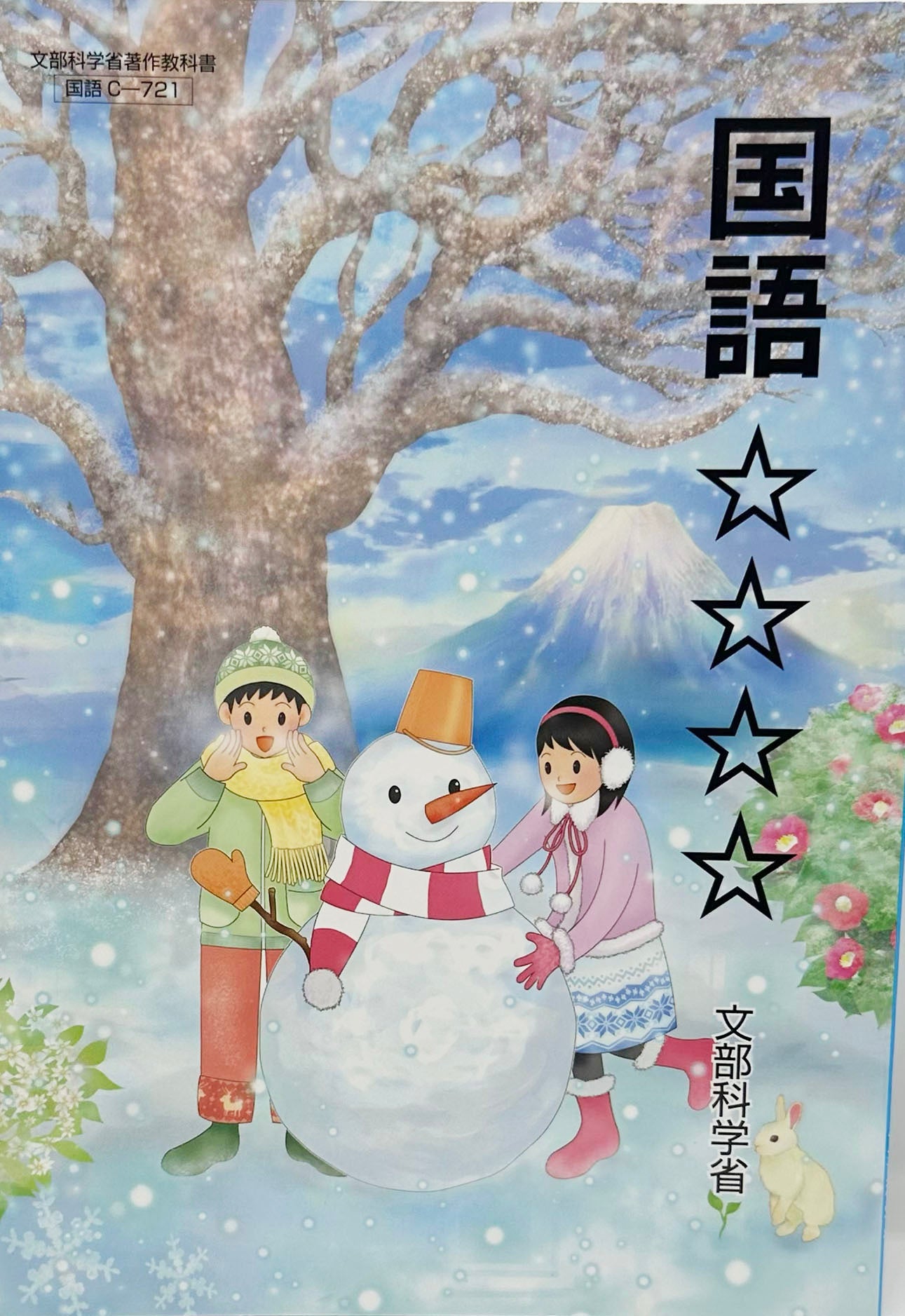 [Cー７２１]　国語 ☆☆☆☆　特別支援学校中学部知的障害者用　2020/1/1